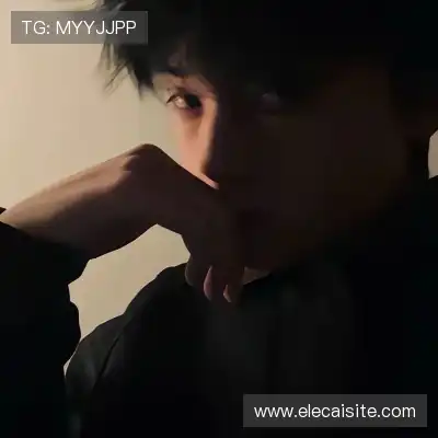 段俪剑